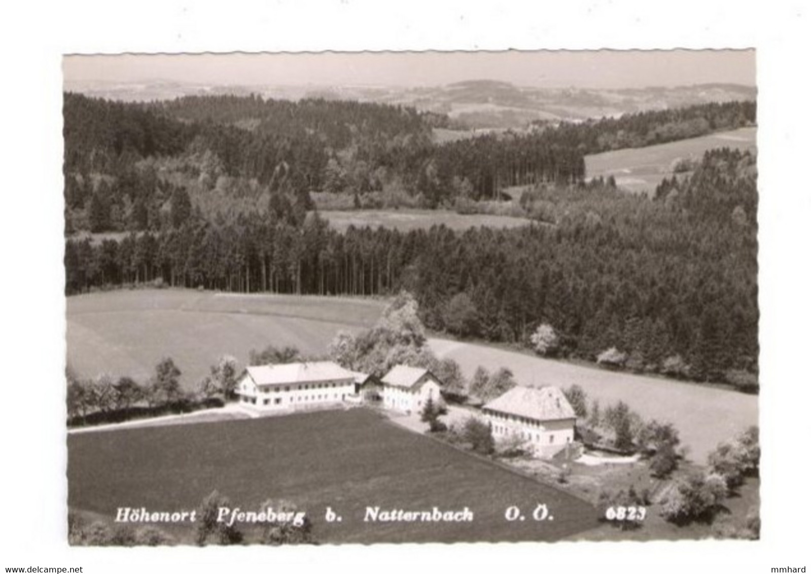 AK Höhenort Pfeneberg B. Natternbach Österreich Austria Oberösterreich - Other & Unclassified