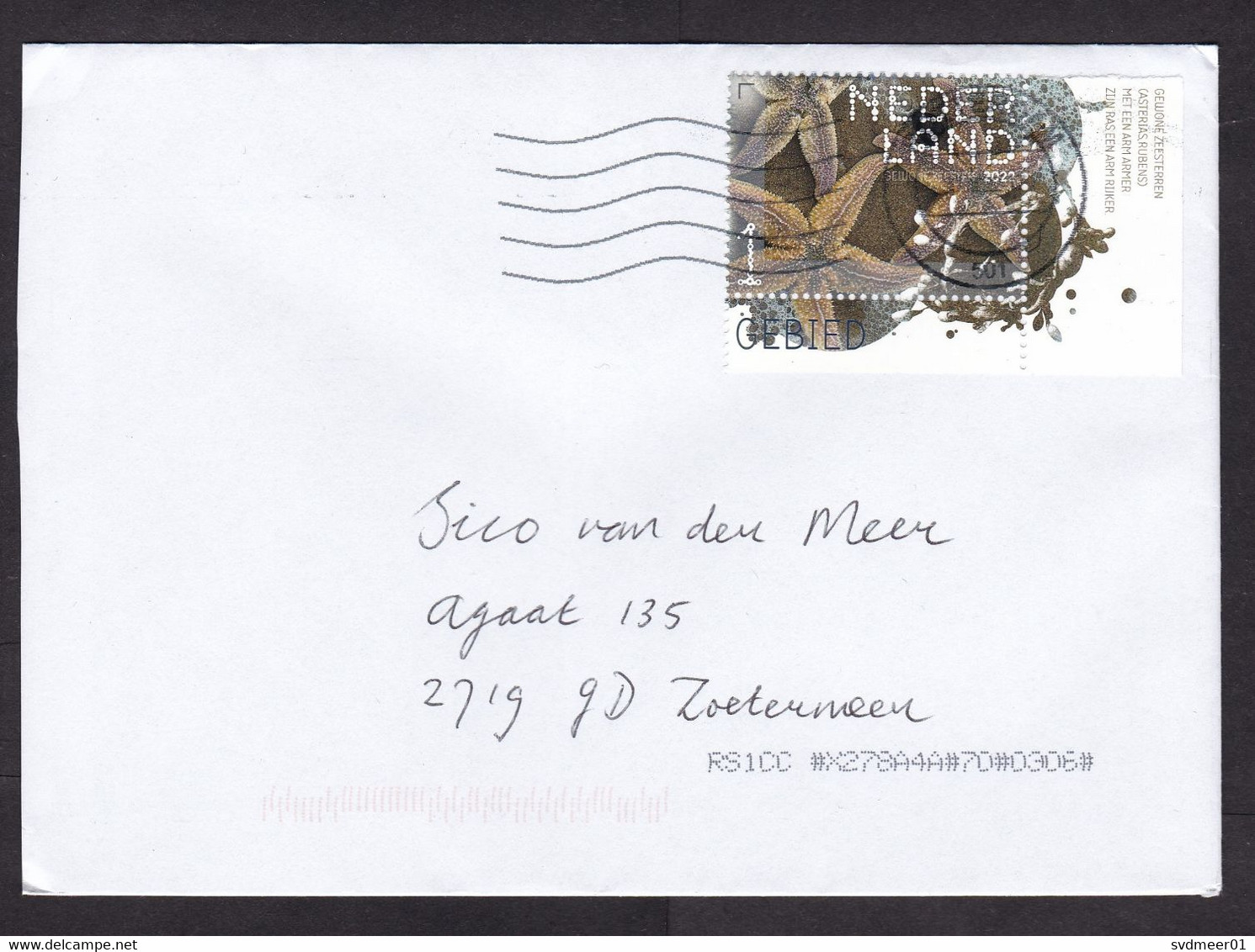 Netherlands: Cover, 2022, 1 Stamp + Tab, Starfish, Sea Star Animal, Sea Life (traces Of Use) - Storia Postale