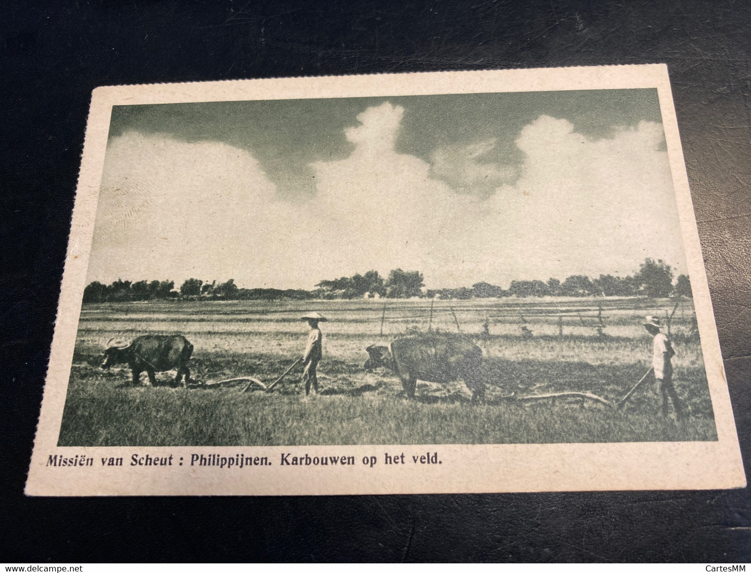 Philippines Philippijnen  Karbouwen Op Het Veld Charrues Tirées Par Bœufs Pfluegen - Filipinas