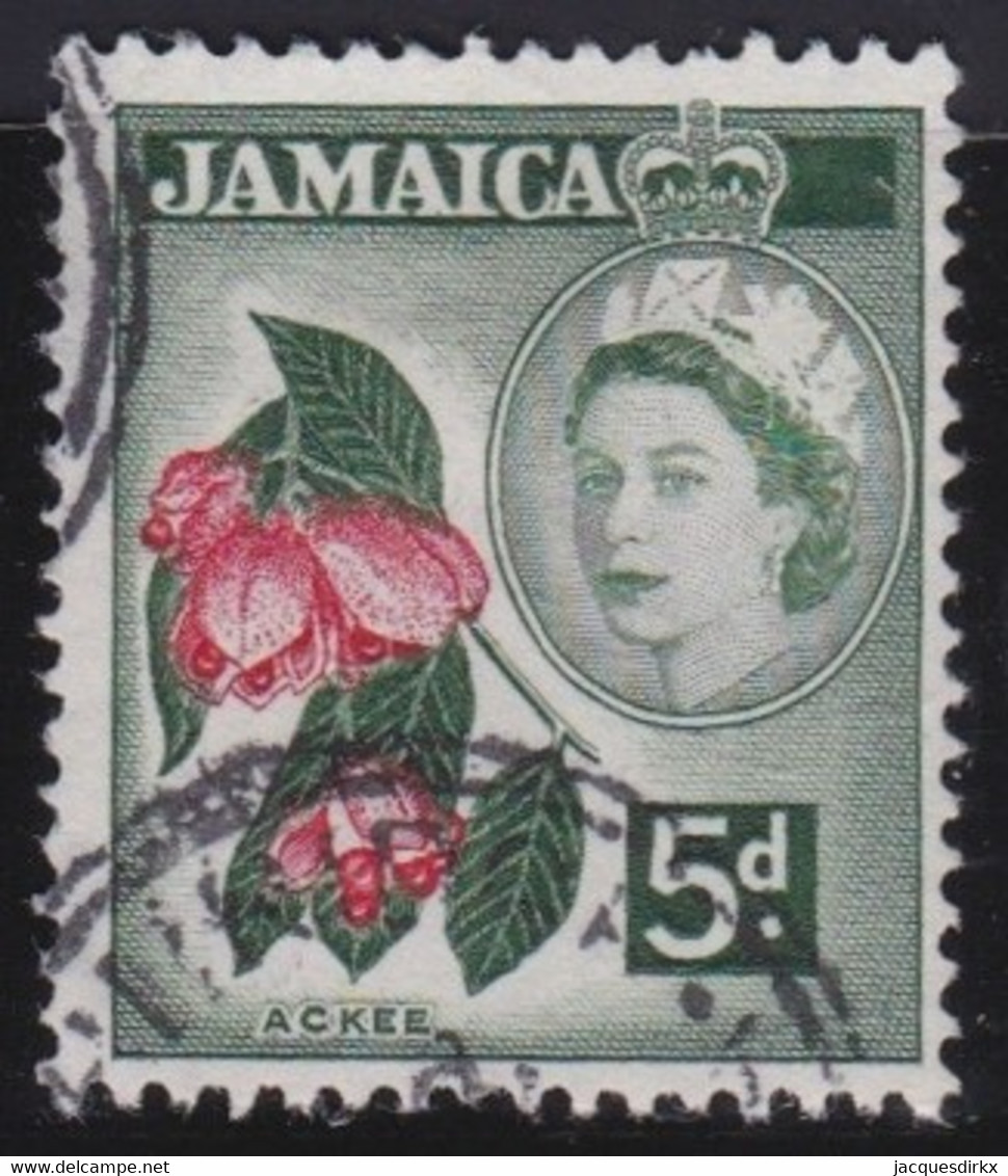 Jamaica    .   SG   .    165     .   O    .    Cancelled  .    /     .   Oblitéré - Jamaica (...-1961)