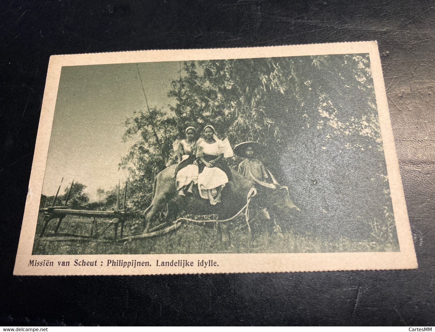 Philippines Philippijnen Bufle Buffalo Buffel Transport - Filipinas