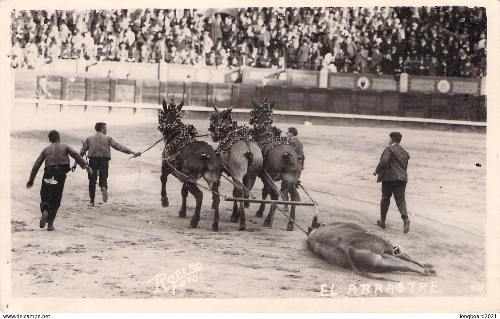 4 DIFF. POSTCARDS BULL FIGHTING - STIERKAMPF / S1