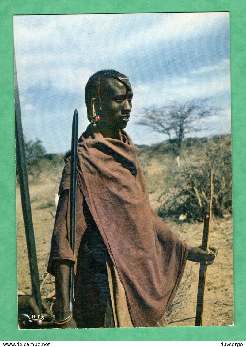 Kenya Masaai Masai Warrior - Kenya