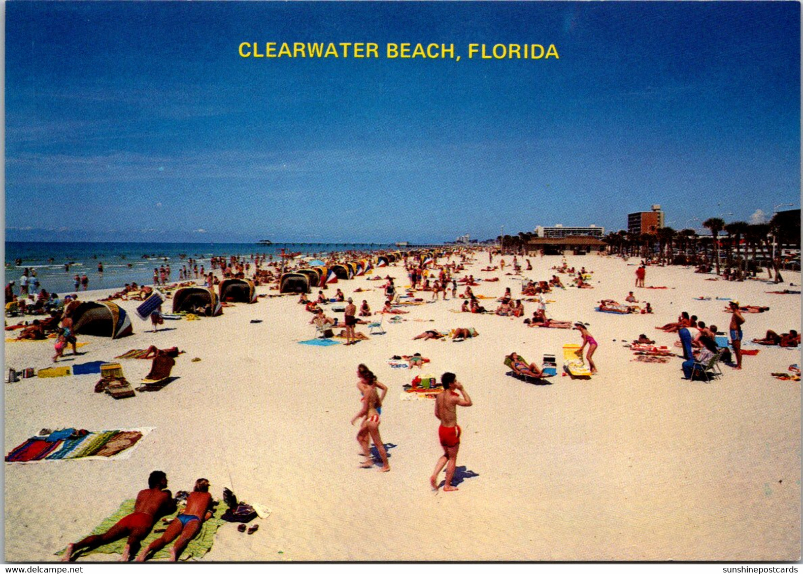 Florida Clearwater Beach Showing Sunbathers - Clearwater