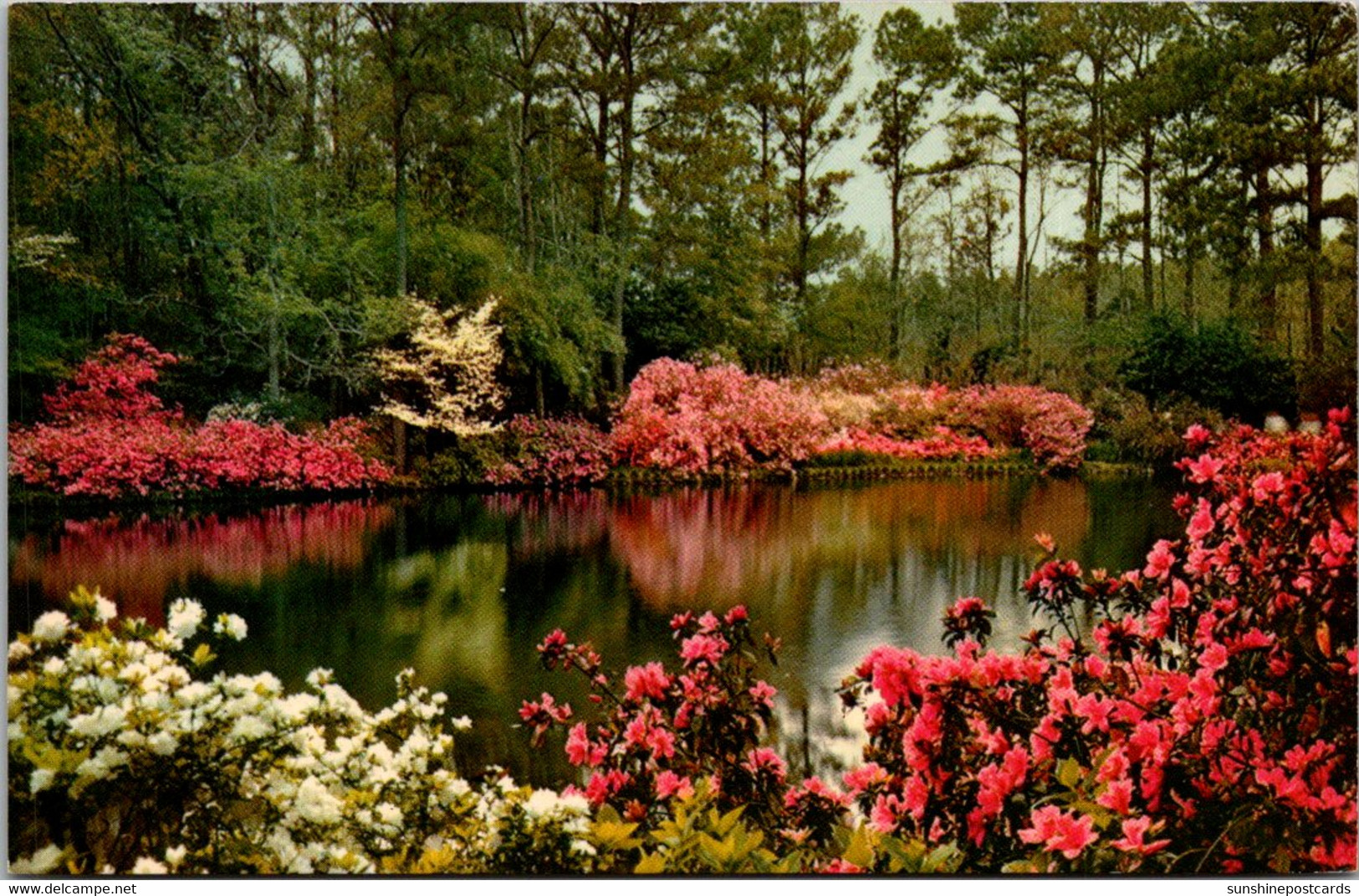 Alabama Mobile Bellingrath Gardens Mirror Lake - Mobile