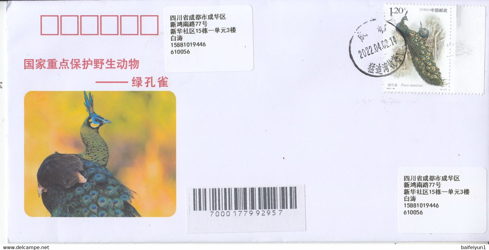 CHINA 2022 Important 1st Class Wildlife(III)  Animals-Green Peafowl Entired Commemorative Cover - Peacocks