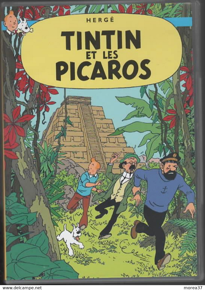 TINTIN  Et Les Picaros - Animation