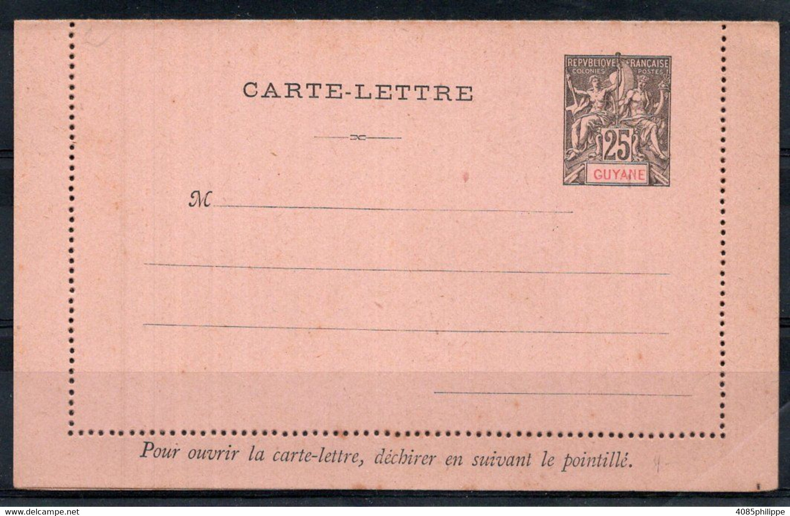 GUYANE Entier Postal 25c Noir Sur Rose Neuf  TB - Lettres & Documents