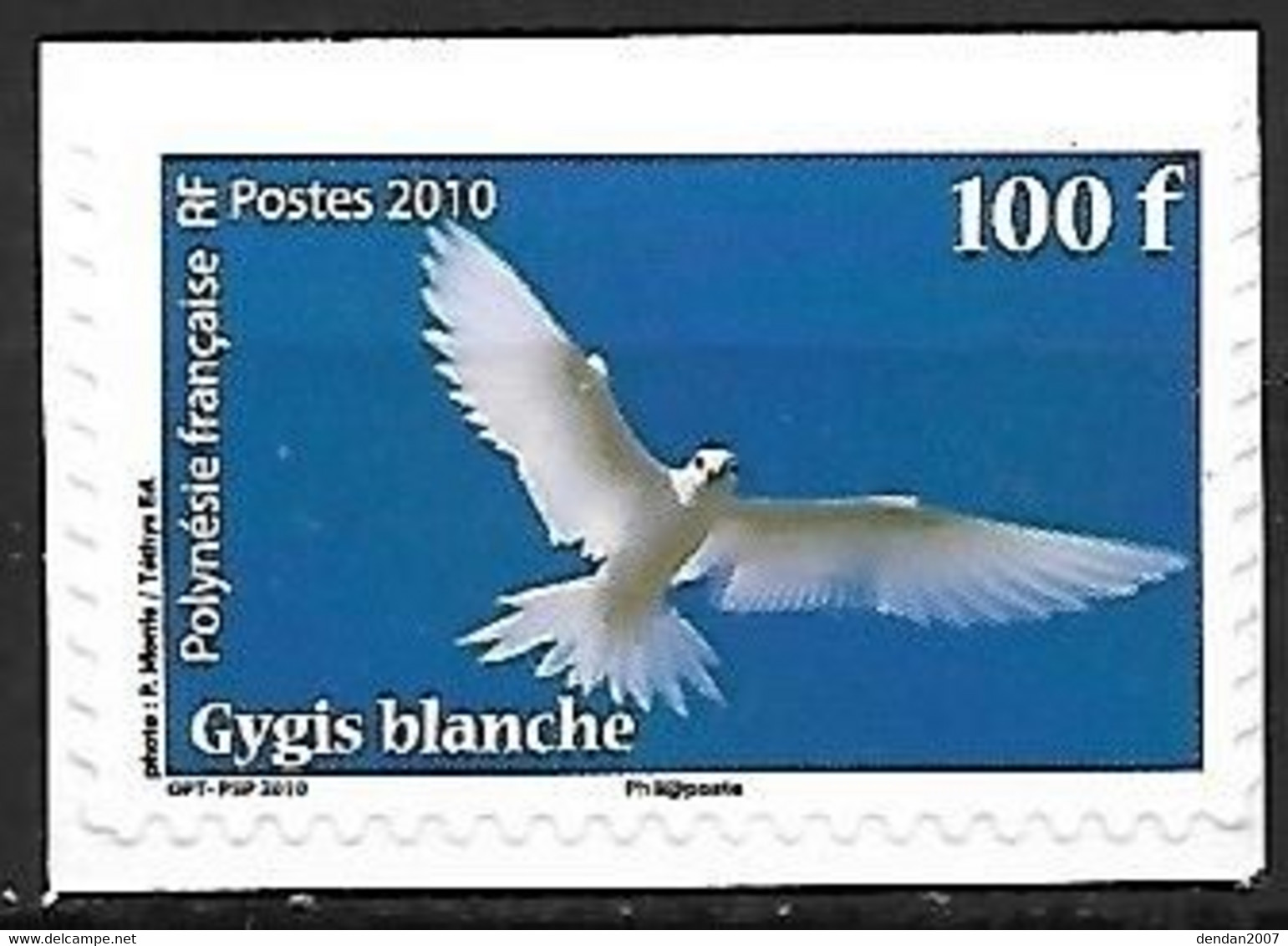 French Polynesia - MNH ** 2010 Self Adhesive Hinged On A  White Paper :    White Tern  -  Gygis Alba - Gabbiani