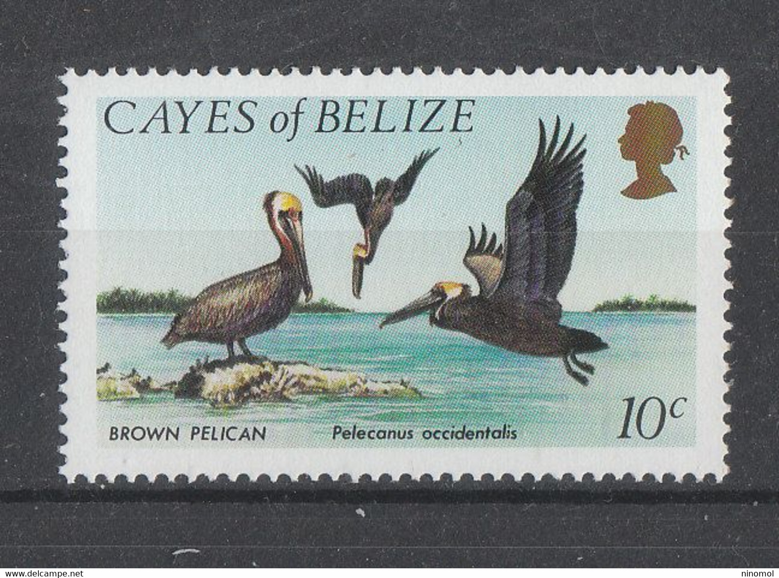 Cayes Di Belize  - 1984.  Pellicani. Pelicans.  MNH - Pélicans