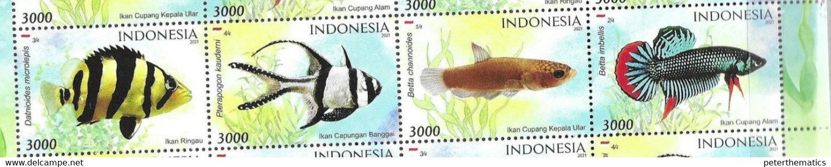 INDONESIA, 2021, MNH,FISH, ENDEMIC FISH, 4v - Fische