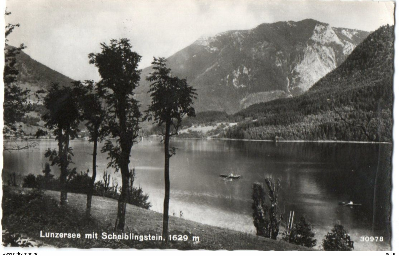 LUNZERSEE MIT SCHEIBLINGSTEIN - REAL PHOTO - F.P - STORIA POSTALE - Lunz Am See