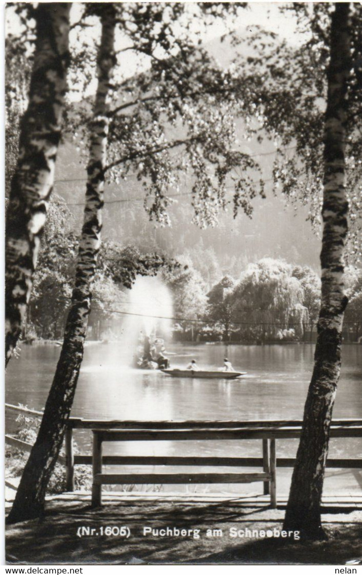 PUCHBERG AM SCHNEEBERG - REAL PHOTO - F.P - STORIA POSTALE - Schneeberggebiet