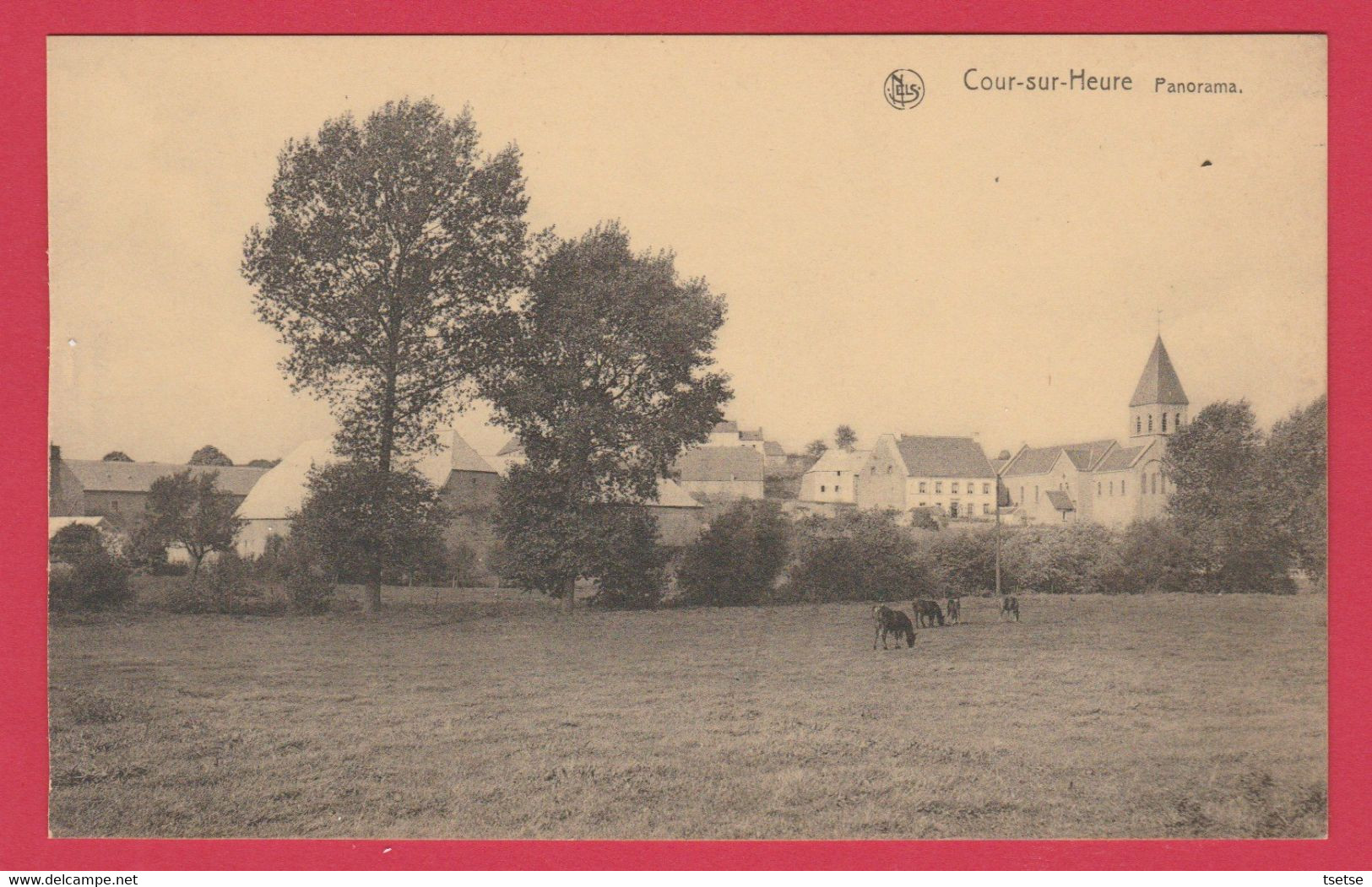 Cour-sur-Heure - Panorama ... Du Village ( Voir Verso ) - Ham-sur-Heure-Nalinnes