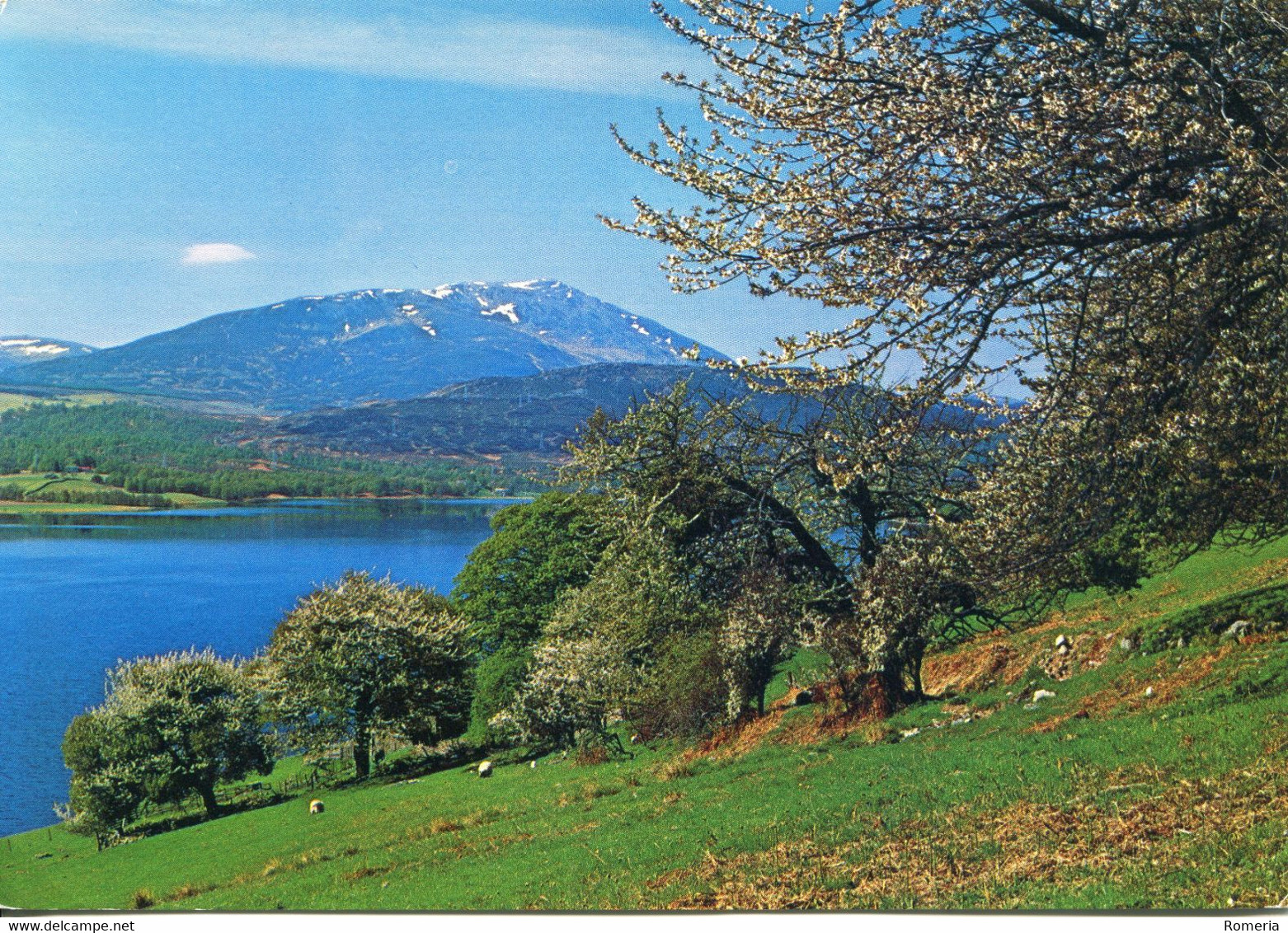 Royaume Uni - Ecosse - Schiehallion Loch Tummel, Pertshire - Ecrite, Timbrée - Perthshire