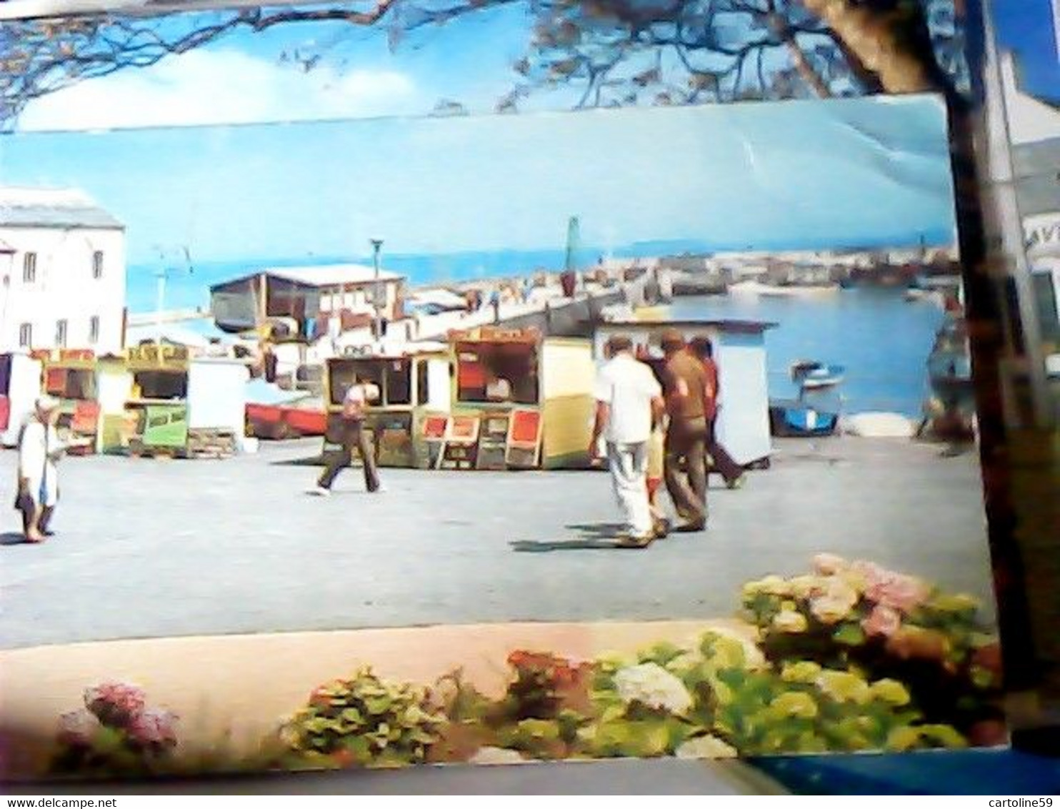 ENGLAND SOUTH DEVON: PAIGNTON Harbour With Fishing Trip Booths Colour VB1975 IP7224 - Paignton