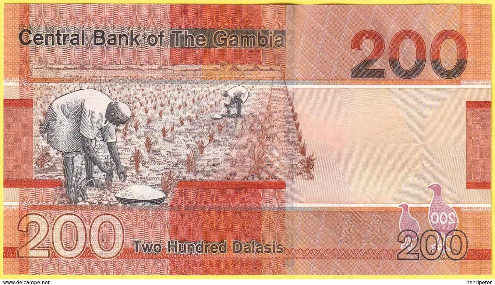 Billet De Banque Neuf - 200 Dalasis - Oiseaux - Central Bank Of The Gambia - N° A0106684 - République De Gambie 2019 - Gambie