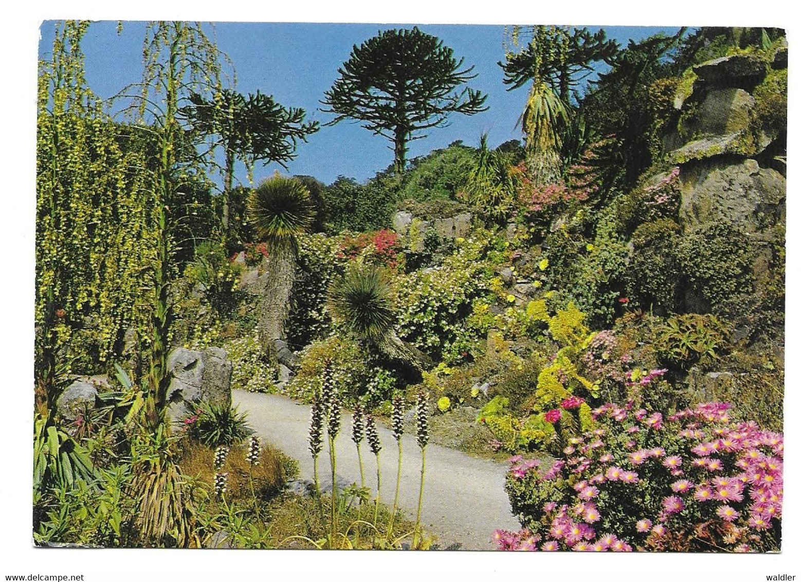 TRESCO ABBEY GARDENS - Scilly Isles