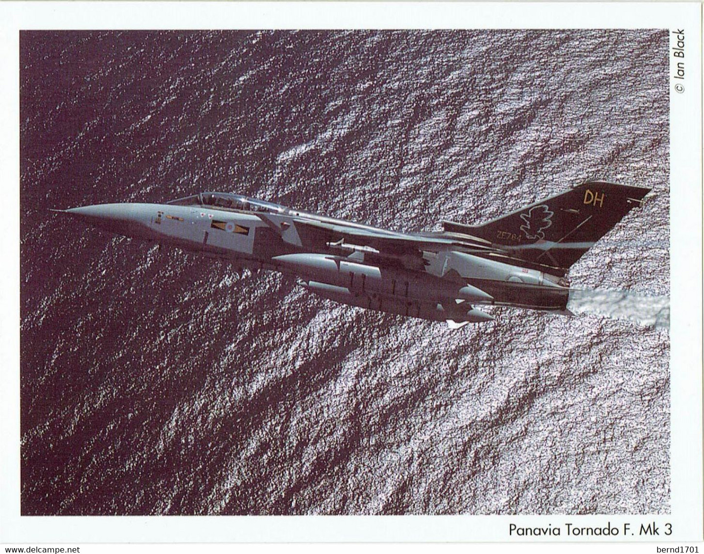 Panavia Tornado F. Mk 3 (I1390) - Vliegtuigen