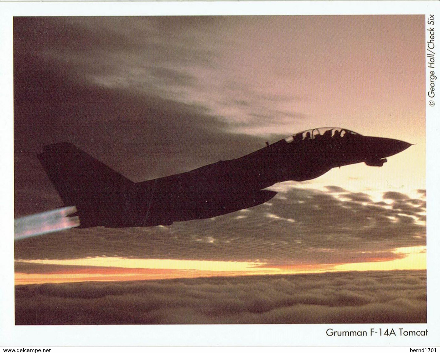 Grumman F-14A Tomcat (I1392) - Vliegtuigen