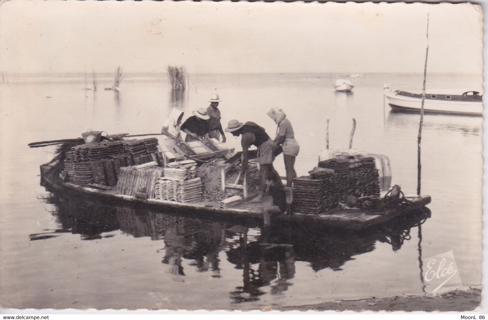 33 - PECHE SUR LE BASSIN D ARCACHON - LE DETROQUAGE DES HUITRES SUR EMBARQCATION  FLOTTANTE   TRAVAUX OSTREICOLES - Pêche