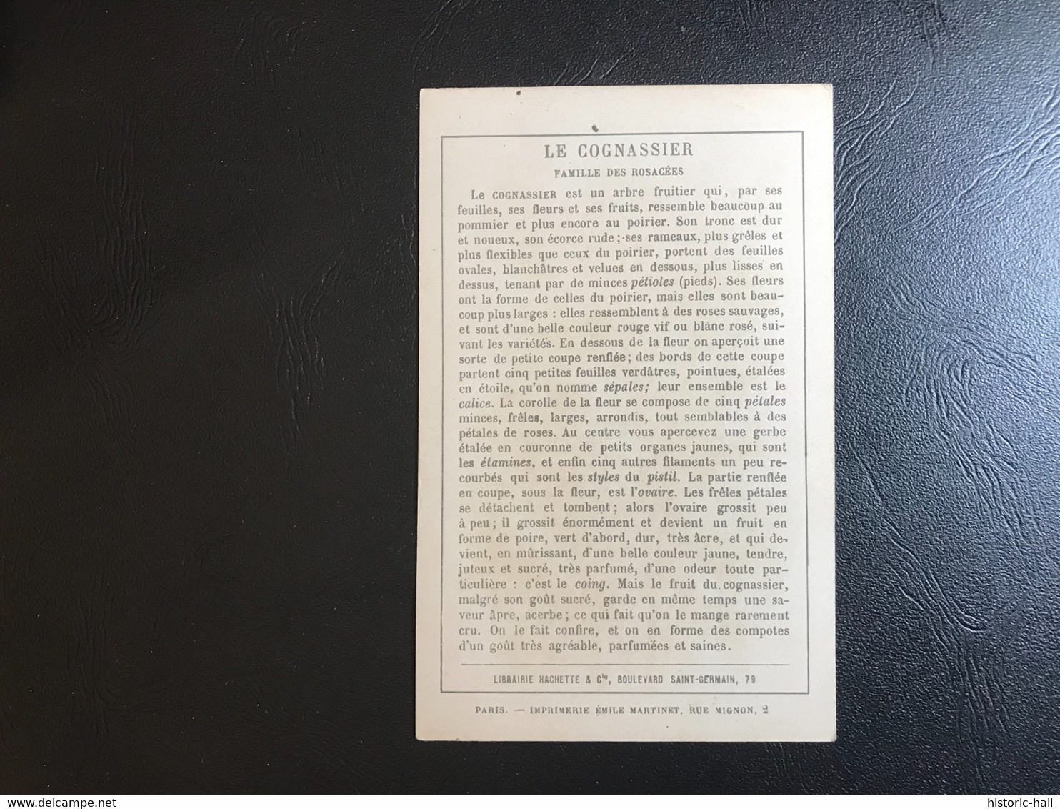 Chromo - LE COGNASSIER - HACHETTE Et Cie - Autres & Non Classés