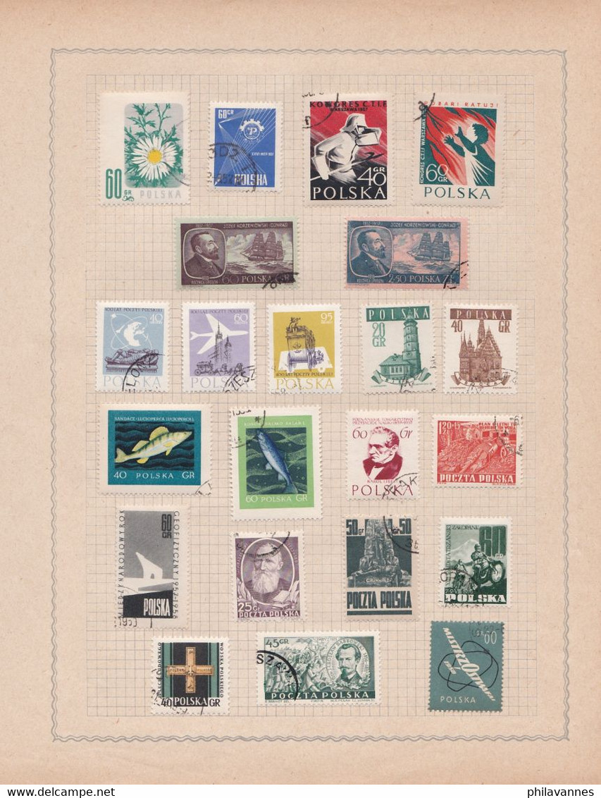 Pologne, Petite Collection Sur Feuille, ( SN /pol) - Collections