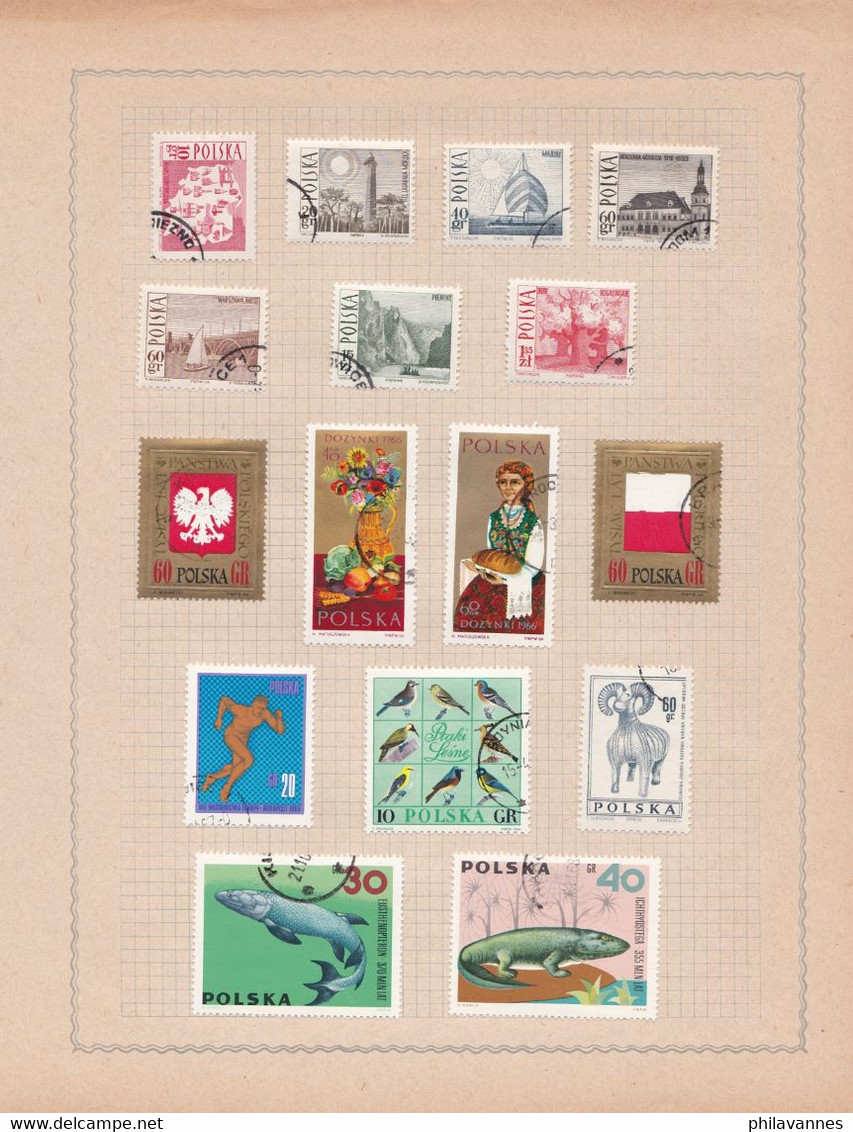 Pologne, Petite Collection Sur Feuille, ( SN /pol) - Collections