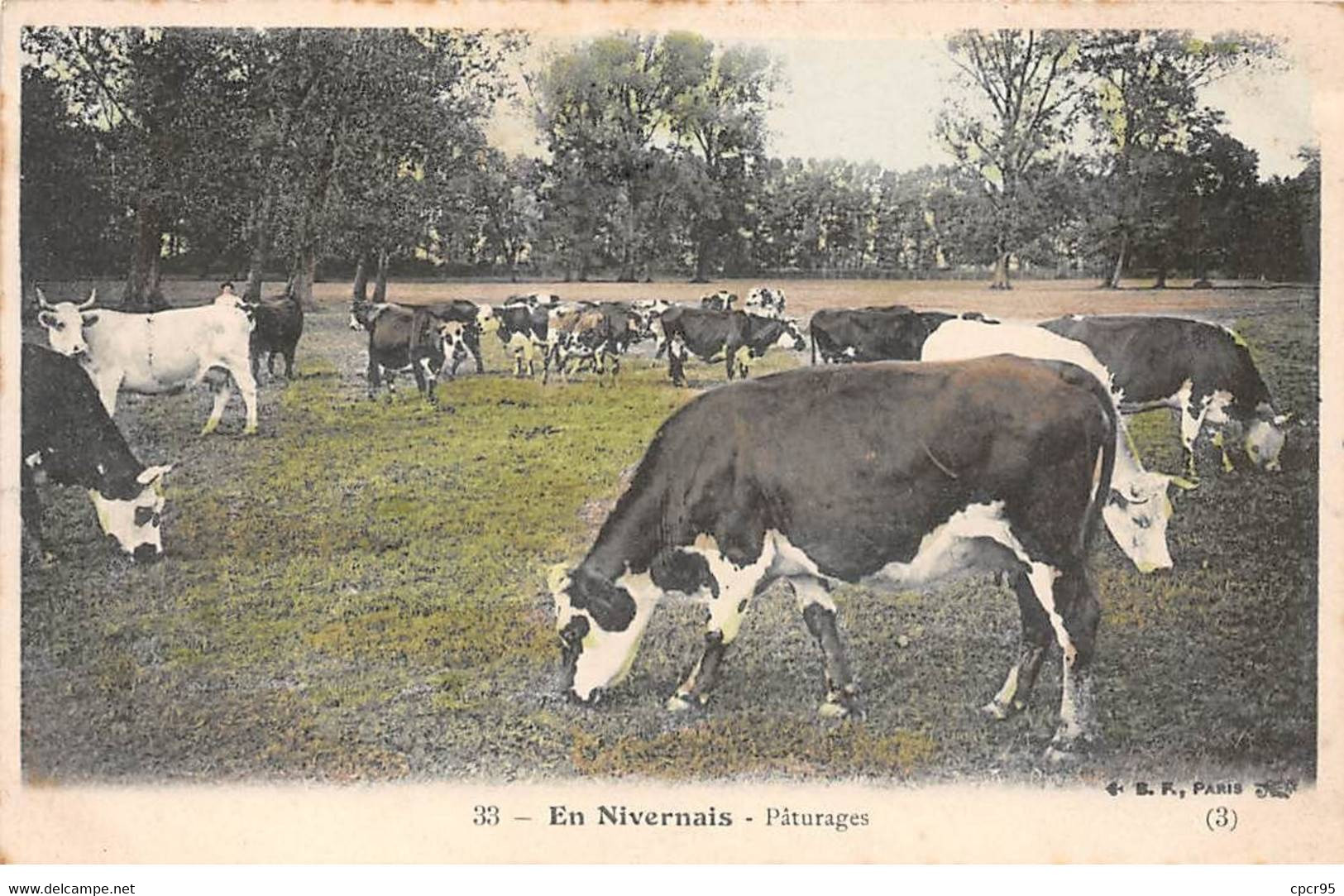 58 - En Nivernais -  SAN20769 - Pâturages - Agriculture - Other & Unclassified