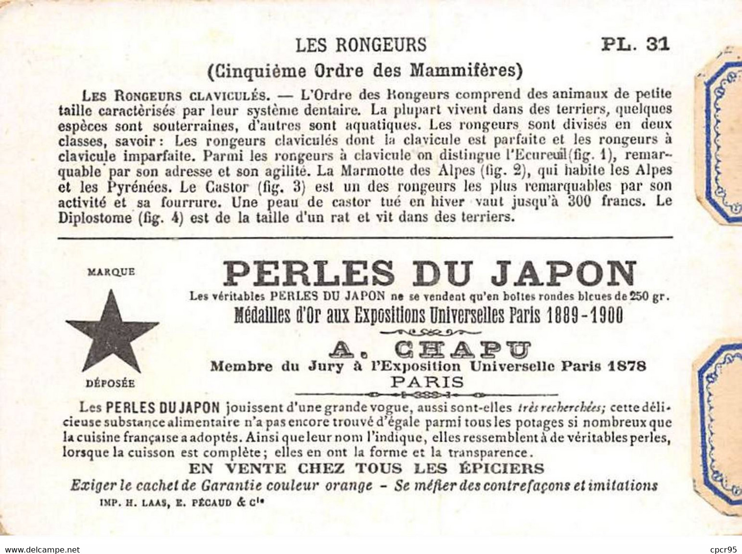 Chromos -COR12390 - Perles Du Japon - Les Rongeurs - Ecureuil - Marmotte Des Alpes - Castor -Diplostome  -  8x11cm Env. - Other & Unclassified