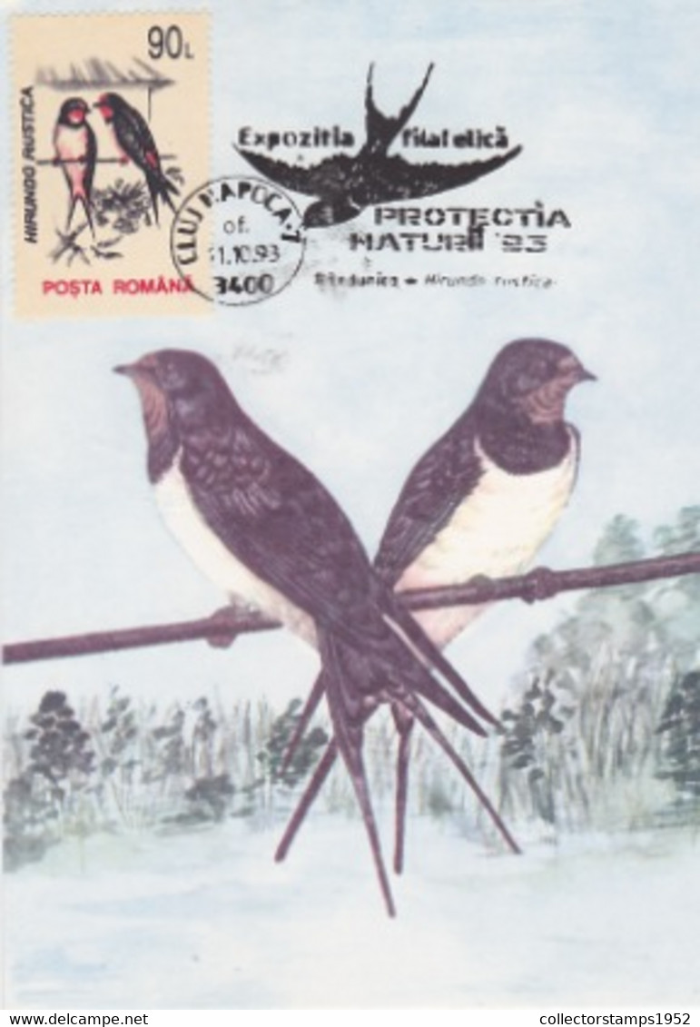 W2144- BARN SWALLOW, BIRDS, ANIMALS, MAXIMUM CARD, 1993, ROMANIA - Golondrinas