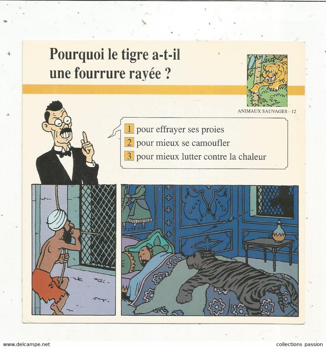Fiche Illustrée BD,1991,Hergé Moulinsart / Casterman, TINTIN, Les Cigares Du Pharaon , Tigre, 150x150 Mm, Frais Fr 1.65e - Other & Unclassified
