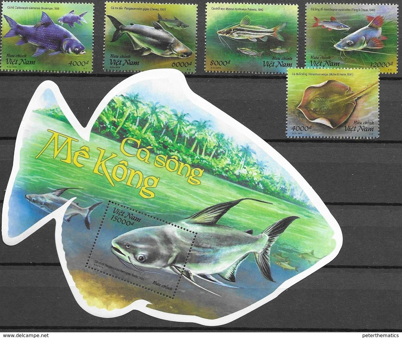 VIETNAM, 2019, MNH,  FISH, FISH OF MEKONG, 5v+FISH-SHAPED S/SHEET - Vissen