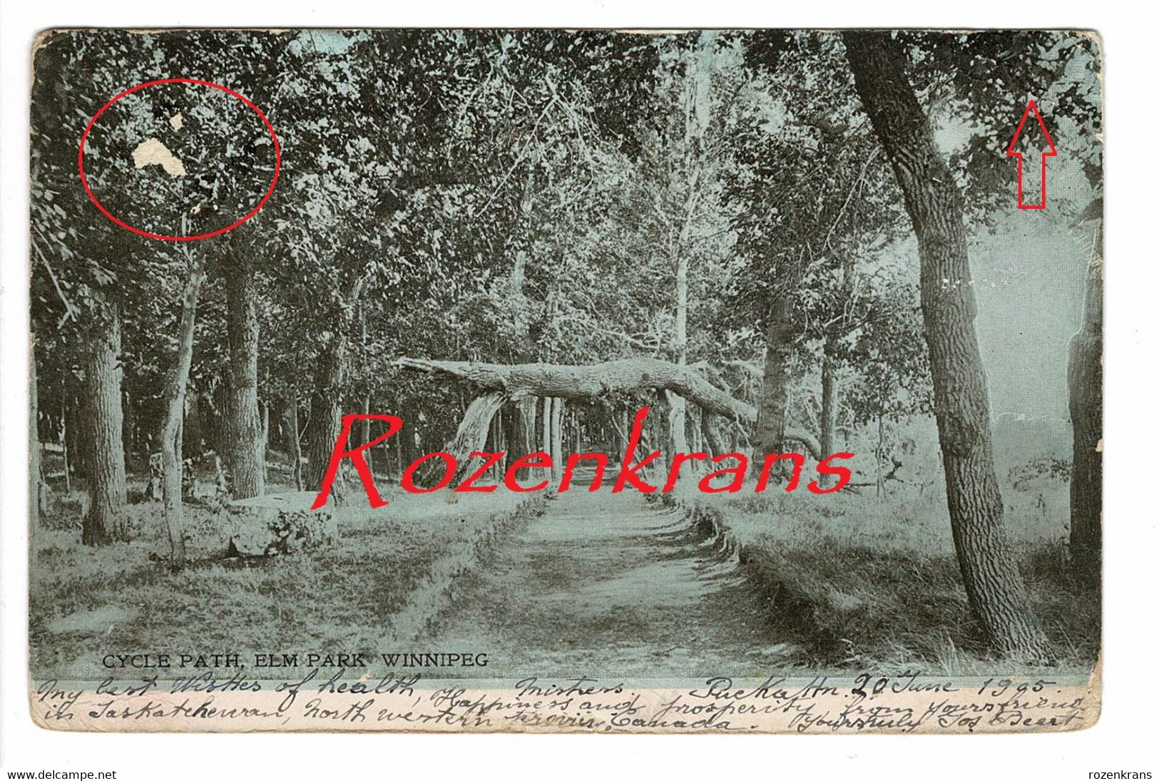 Rare Old Postcard Winnipeg Manitoba Canada Cycle Path Elm Park CPA - Winnipeg