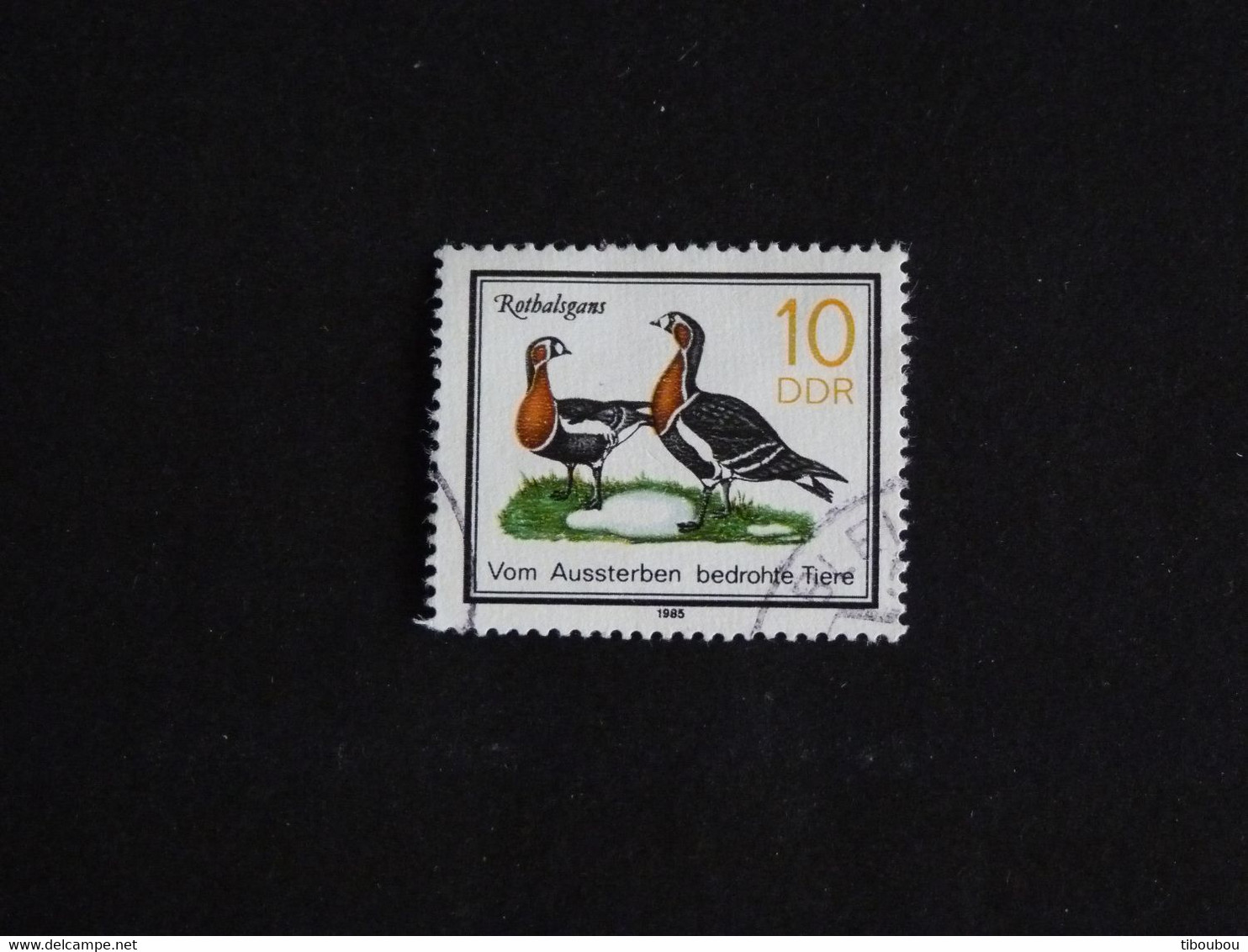 ALLEMAGNE GERMANY DEUTSCHLAND RDA DDR 2577 OBLITERE - BERNACHE A COU ROUX OISEAU BIRD VOGEL - Gebraucht