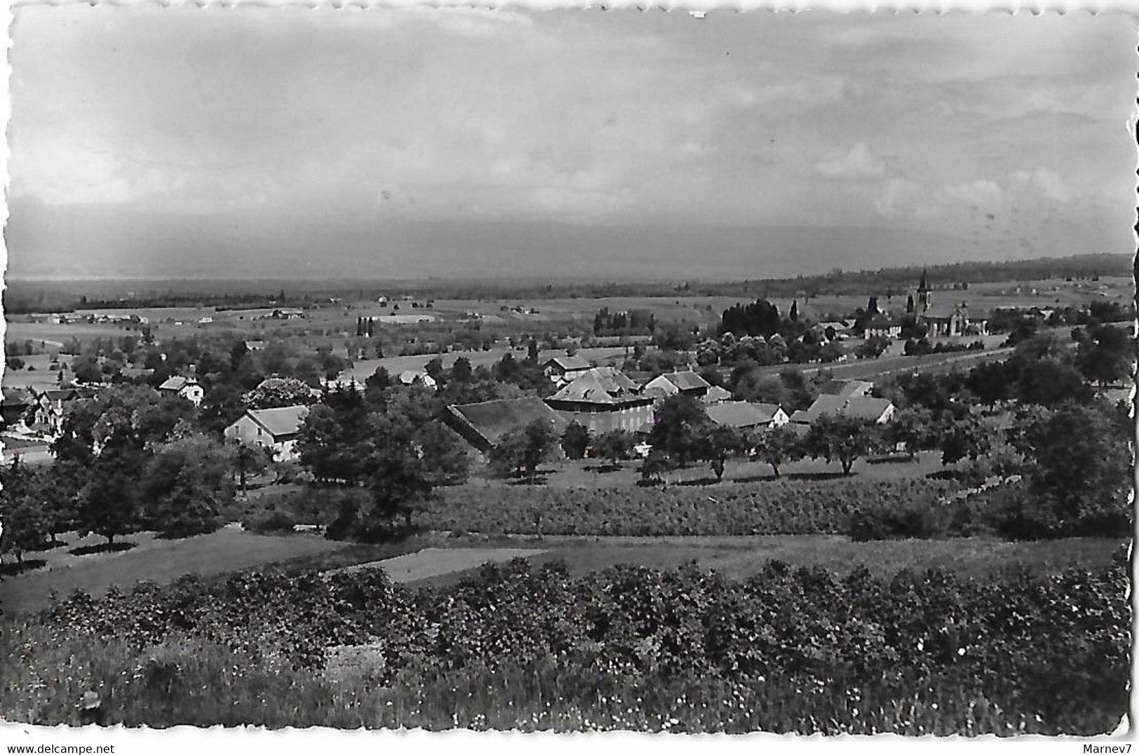 74 Hte Haute SAVOIE - CPSM - St Saint CERGUES Les VOIRONS - Station Climatique - Vue Générale - - Saint-Cergues