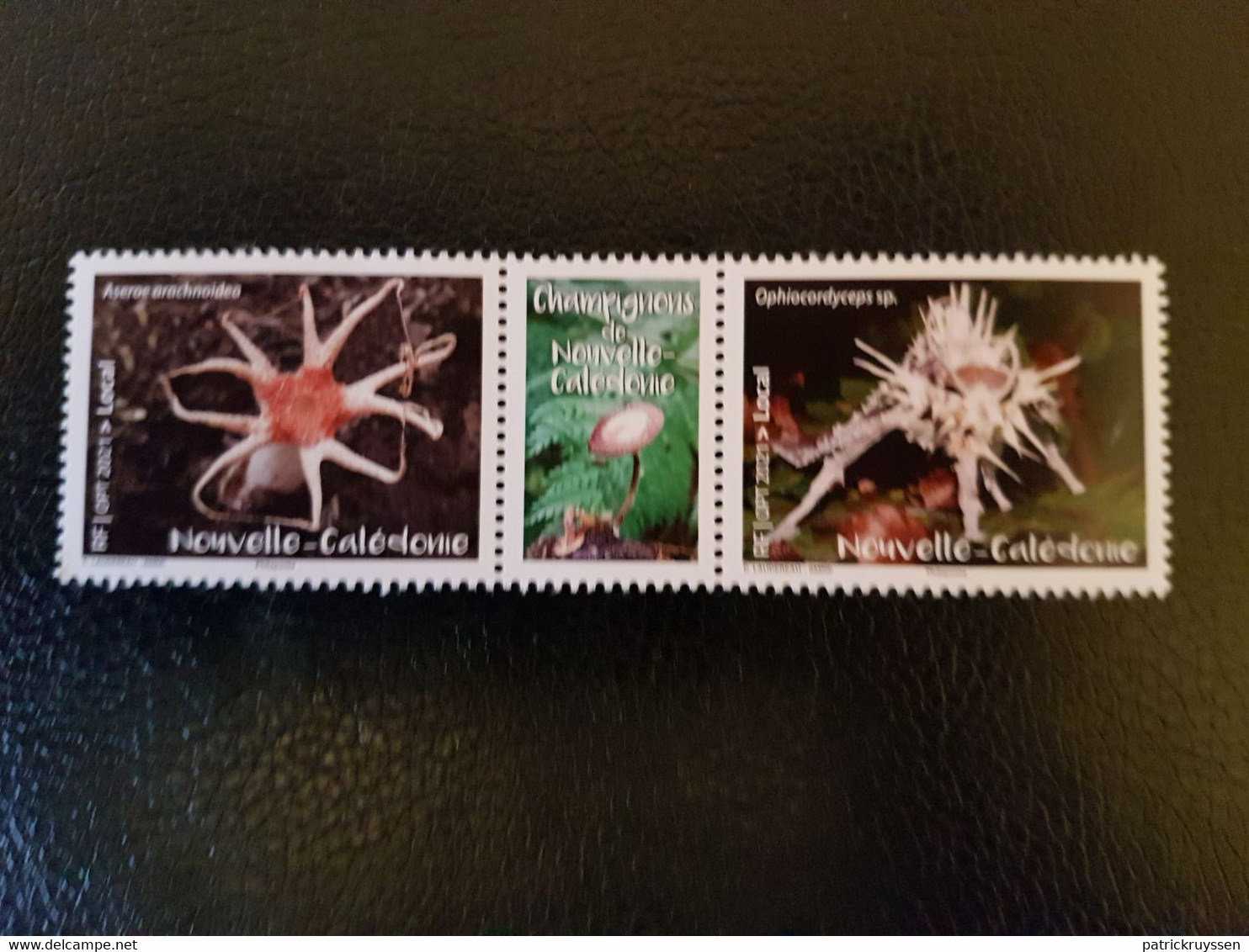 Caledonia 2021 Caledonie Mushroom Champignon Pilz Fungi 2v +label Mnh - Nuovi