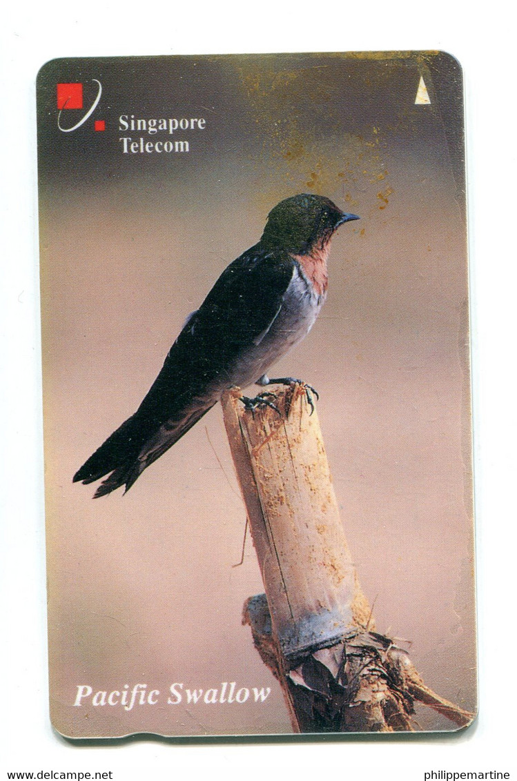 Télécarte Singapore Télécom : Pacific Swallow - Songbirds & Tree Dwellers