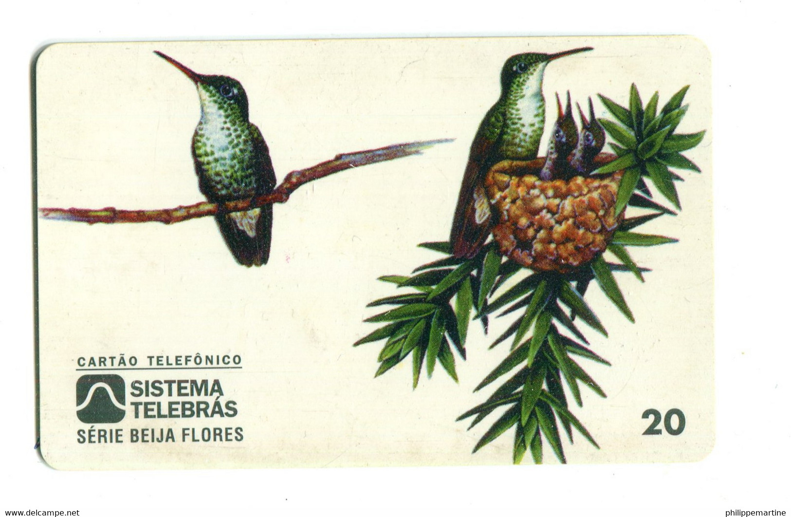 Télécarte Sistema Telebbras (Brésil) : Amazilia Brevirostris - Sperlingsvögel & Singvögel