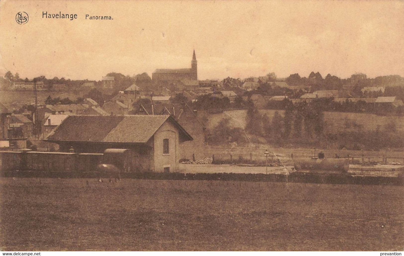 HAVELANGE - Panorama - Carte Circulé En 1934 - Havelange