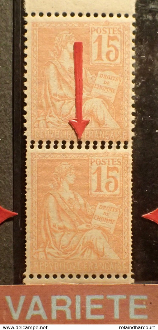 R2253/306 - 1900 - TYPE MOUCHON - (PAIRE) N°117 NEUFS** BdF - SUPERBE VARIETE ➤➤➤ Piquage Double En Bas Tàn - Unused Stamps