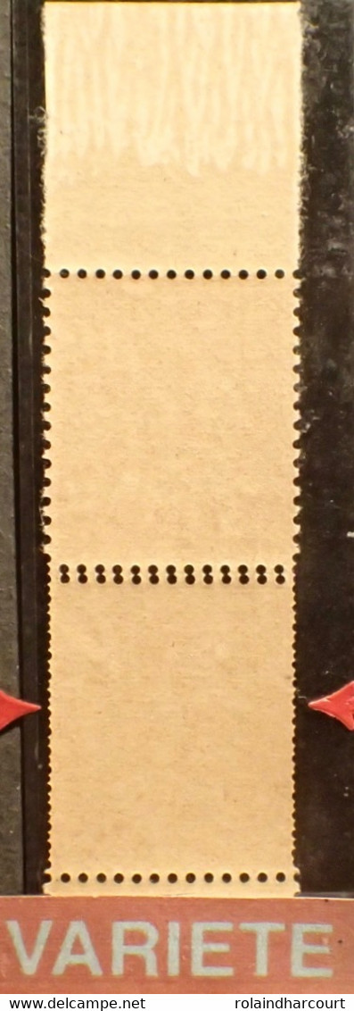 R2253/306 - 1900 - TYPE MOUCHON - (PAIRE) N°117 NEUFS** BdF - SUPERBE VARIETE ➤➤➤ Piquage Double En Bas Tàn - Unused Stamps