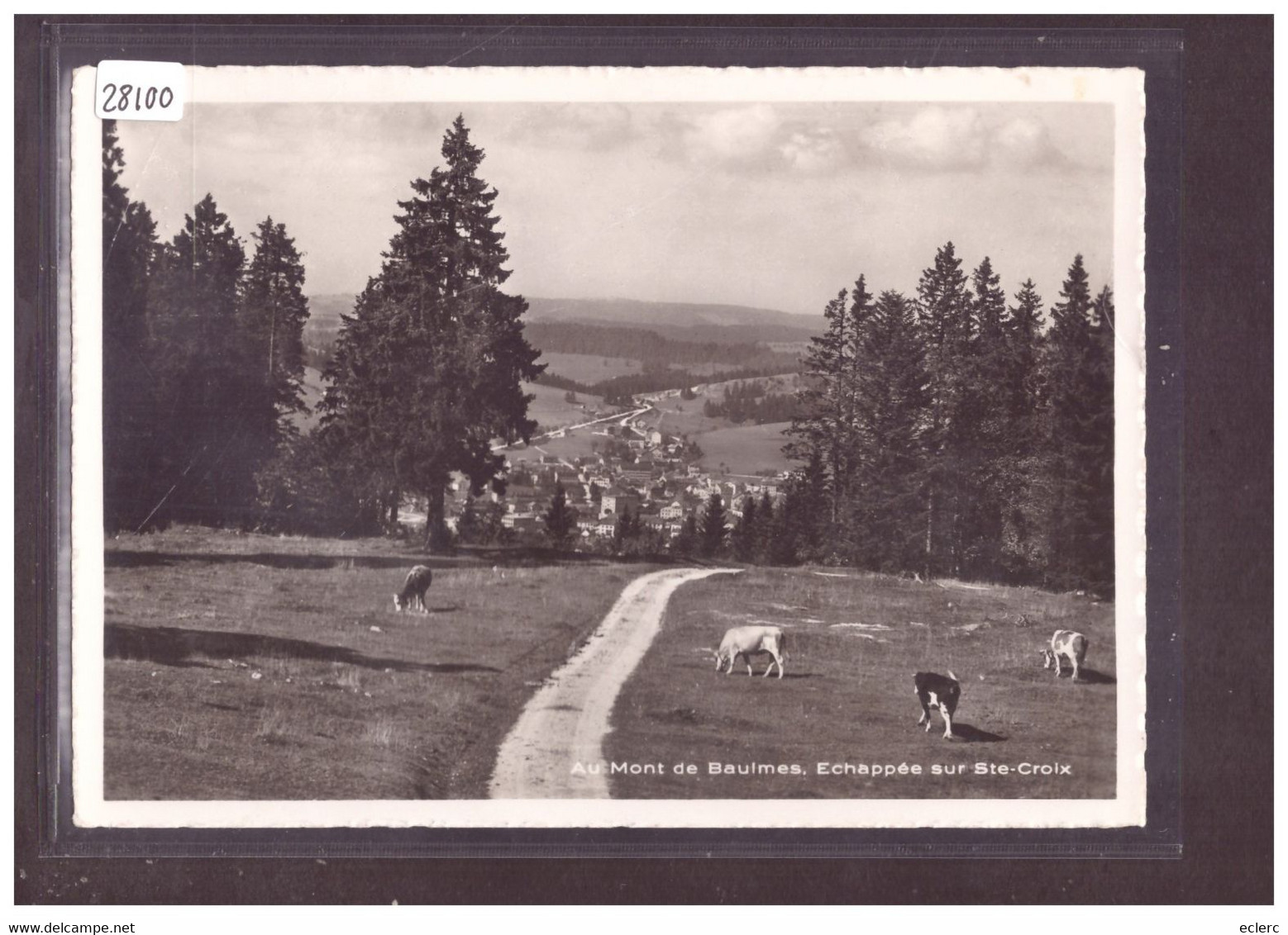 FORMAT 10x15cm - DISTRICT DE GRANDSON - SAINTE CROIX VU DU MONT DE BAULMES - TB - Baulmes