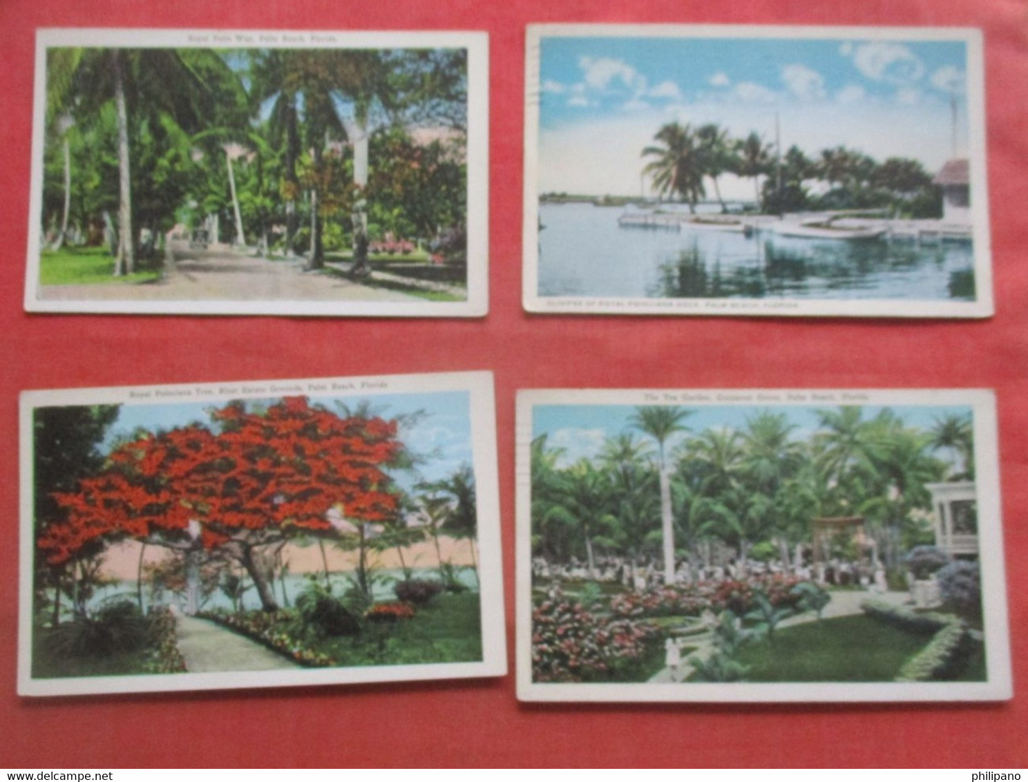 Lot Of  4 Cards.   Palm Beach    Florida    Ref 5560 - Palm Beach