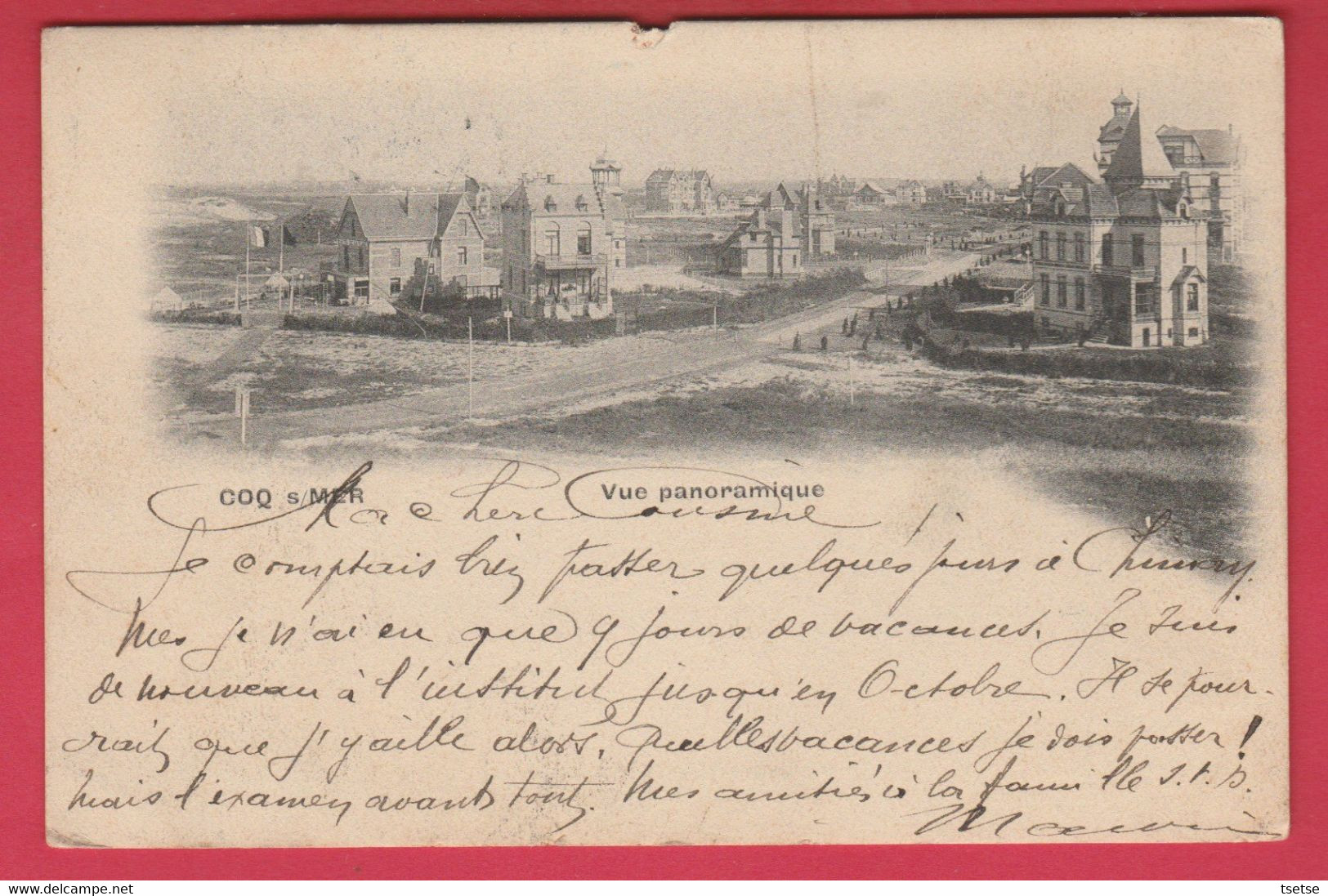 De Haan / Coq S /Mer - Vue Panoramique - 1903 ( Voir Verso, Spécial ... Publicitaire ) - De Haan
