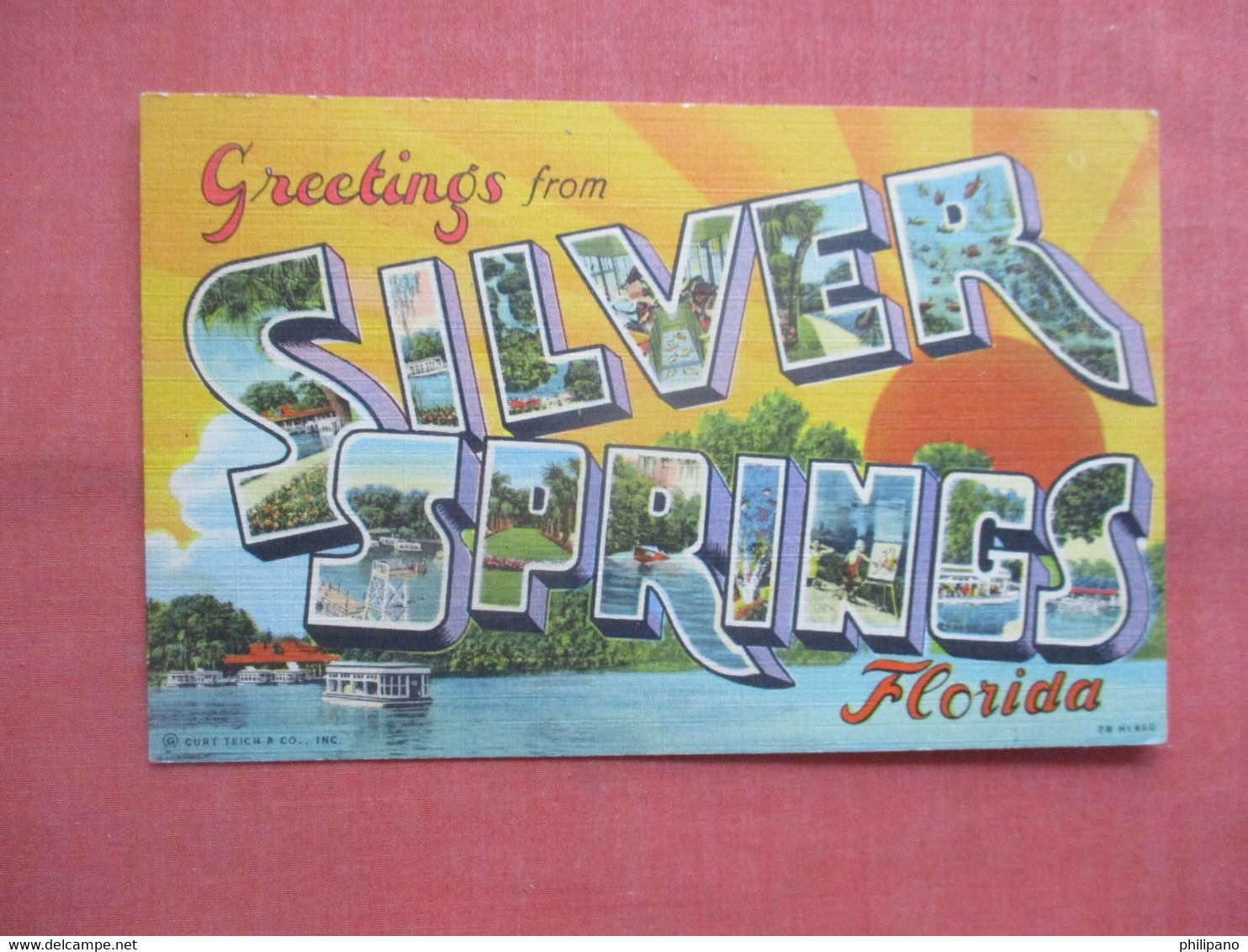 Greetings.-  Silver Springs - Florida > Silver Springs         Ref 5561 - Silver Springs