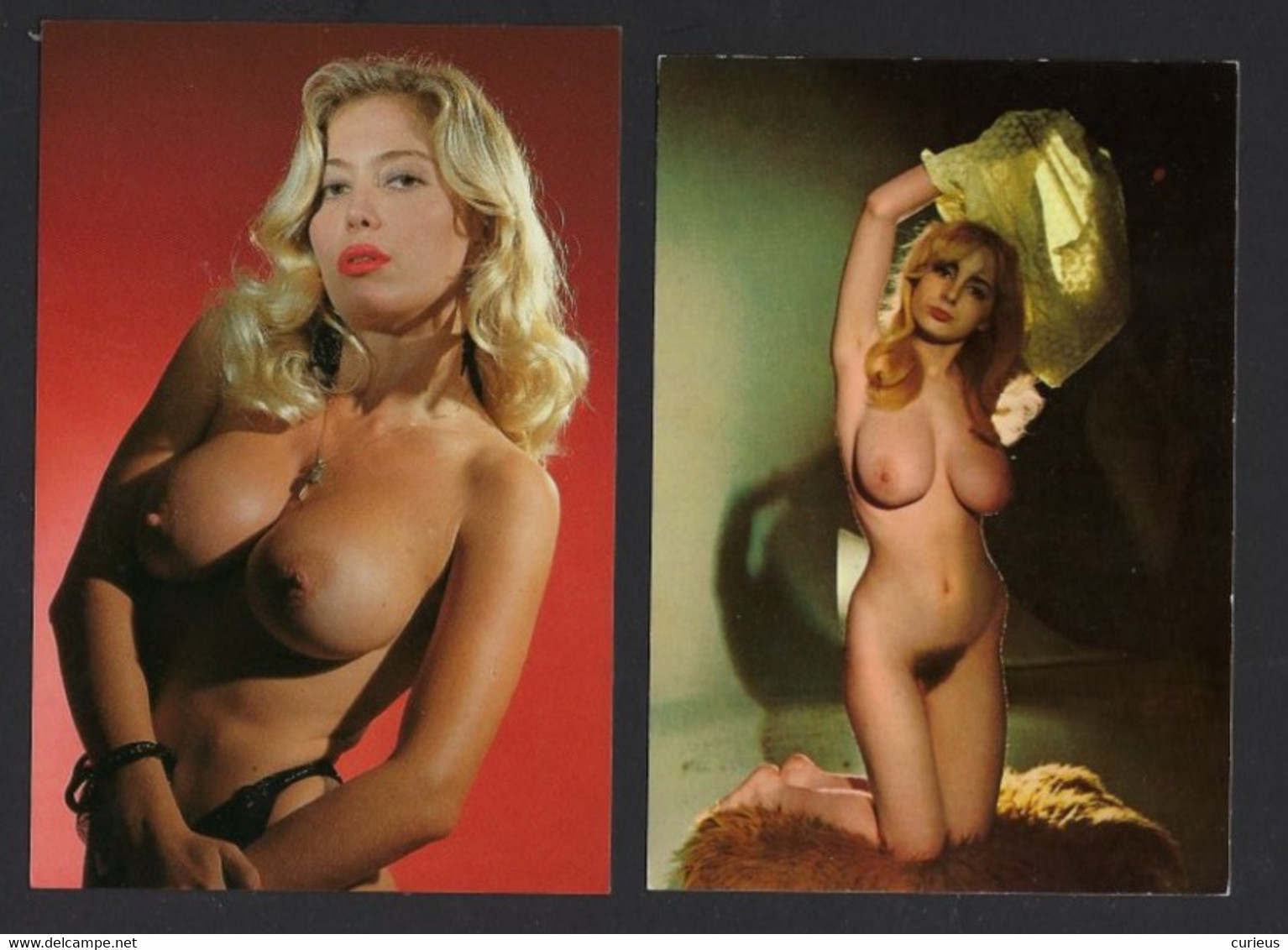 PIN UPS * 2 X * SEINS NUS * NUDITY * NUDE * NAAKT * VROUWEN * FEMMES * 2 CPA * GRAND FORMAT * - Pin-Ups