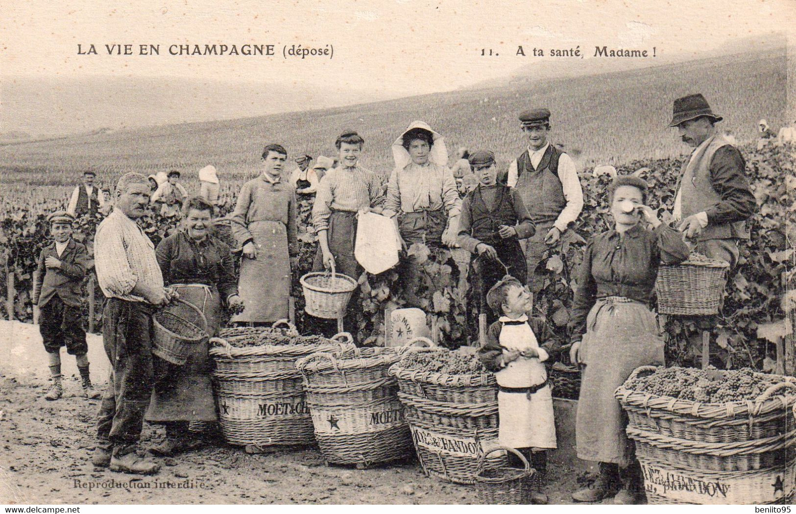 CPA "La Vie En CHAMPAGNE" - A Ta Santé. - Wijnbouw