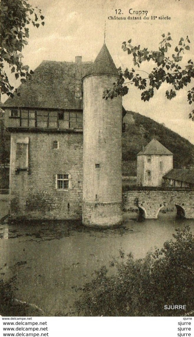 Crupey / Assesse - Château Datant Du 12e Siècle - Kasteel - Assesse