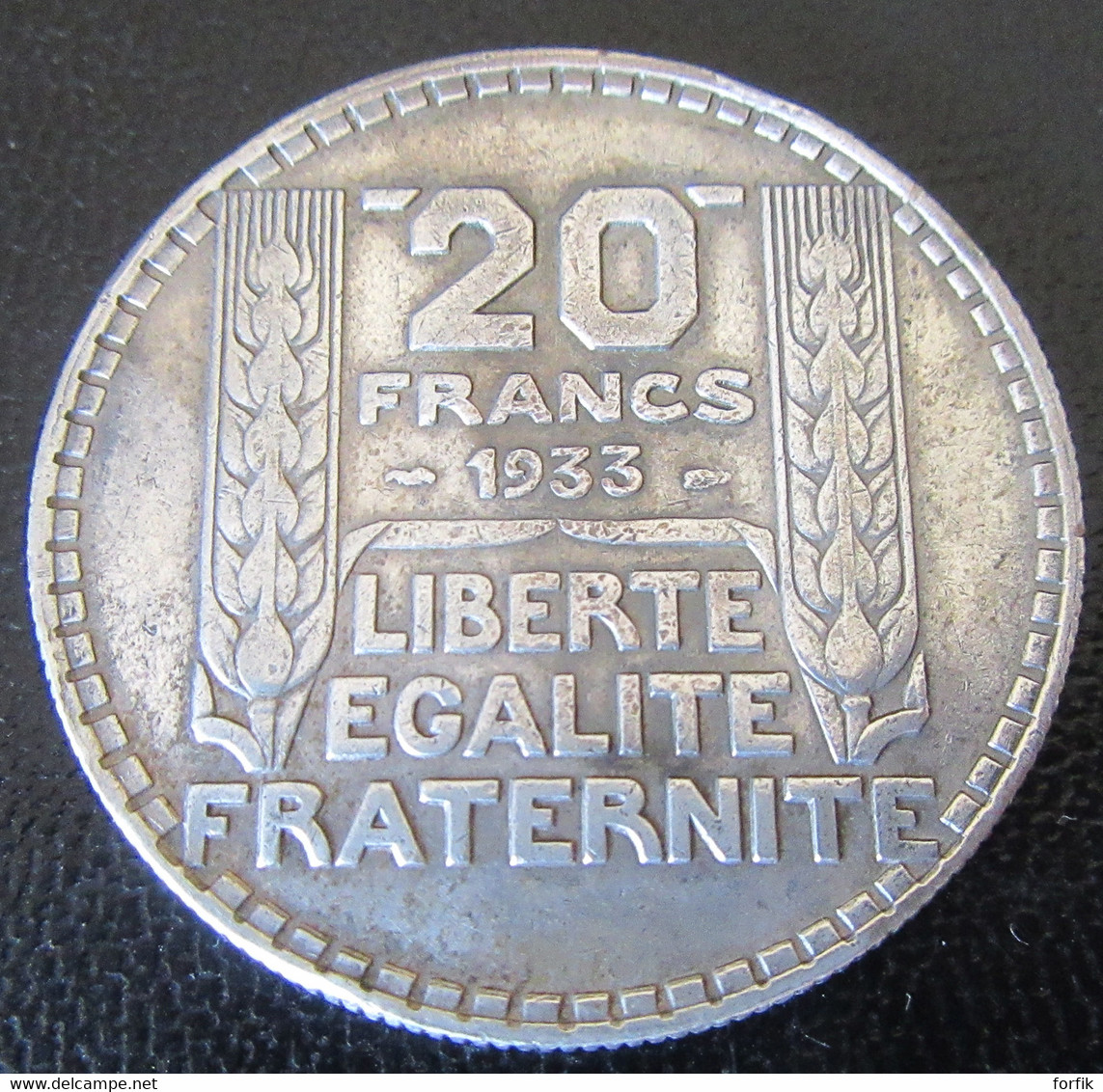 France - Monnaie 20 Francs Turin 1933 Rameaux Longs En Argent - Otros & Sin Clasificación